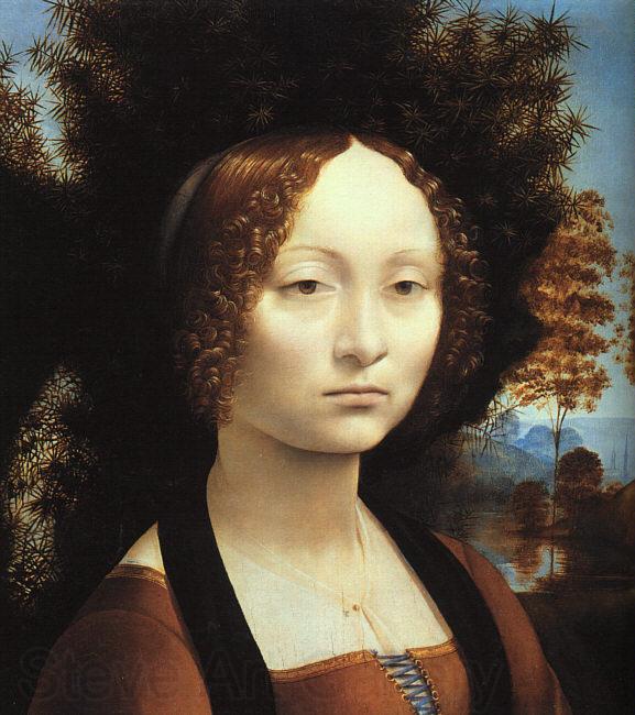  Leonardo  Da Vinci Portrait of Ginerva de'Benci Spain oil painting art